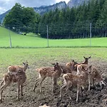 Berghof Haselsberger * 상트조한인티롤