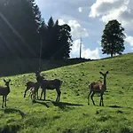 Berghof Haselsberger 아파트 상트조한인티롤