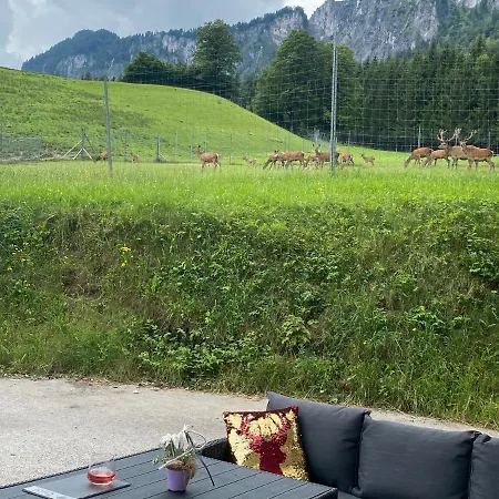 Berghof Haselsberger Apartment
