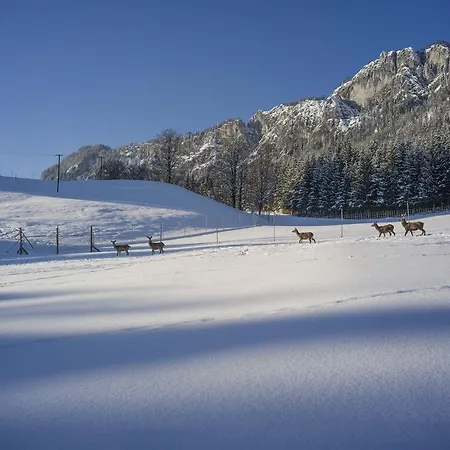 Berghof Haselsberger * St. Johann in Tirol