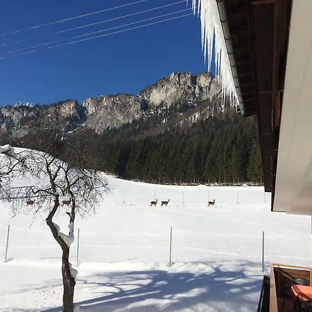 Berghof Haselsberger Sankt Johann in Tirol