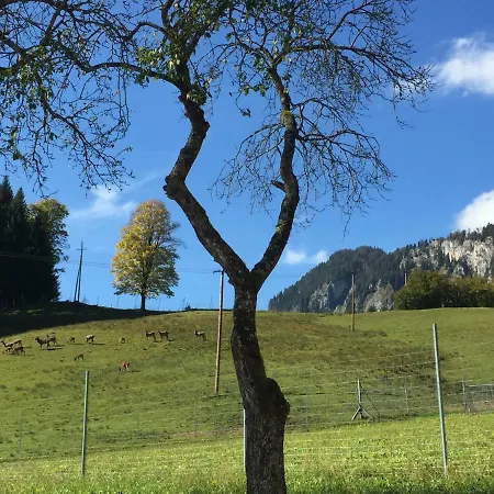 Apartment Berghof Haselsberger