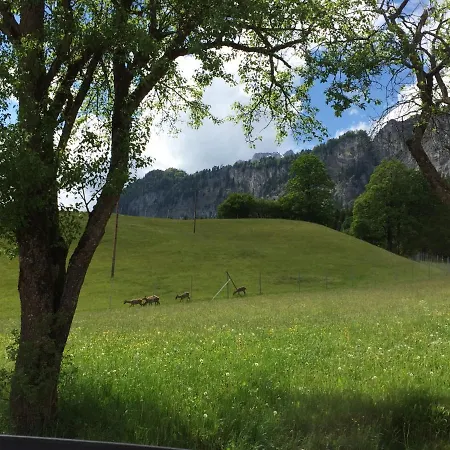 Apartment Berghof Haselsberger Sankt Johann in Tirol