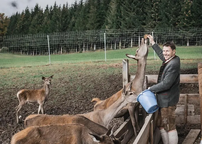 Berghof Haselsberger Apartamento *