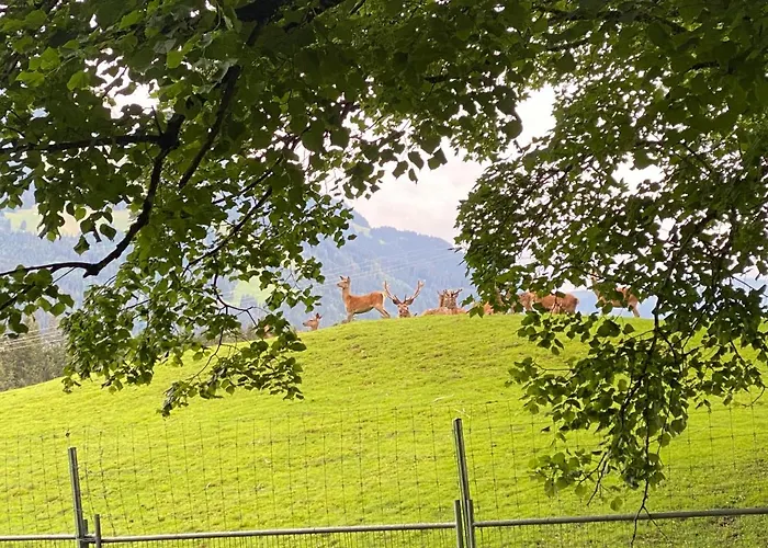 Apartamento Berghof Haselsberger