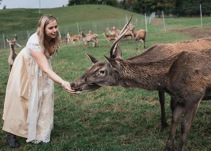 Apartamento Berghof Haselsberger *