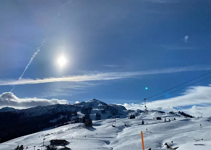 Apartamento Berghof Haselsberger *