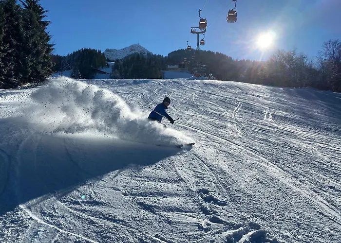 Apartamento Berghof Haselsberger *