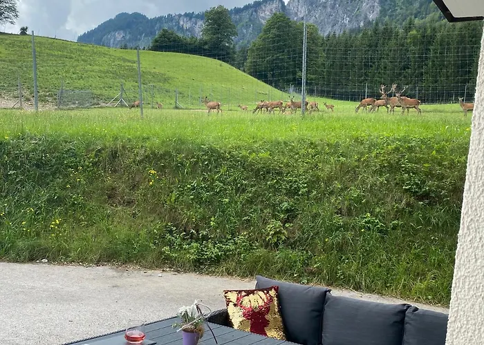 Berghof Haselsberger Apartamento