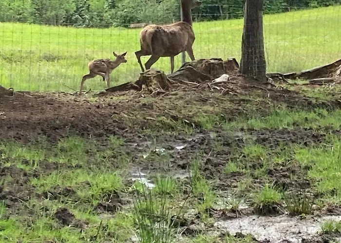 Apartamento Berghof Haselsberger Sankt Johann in Tirol
