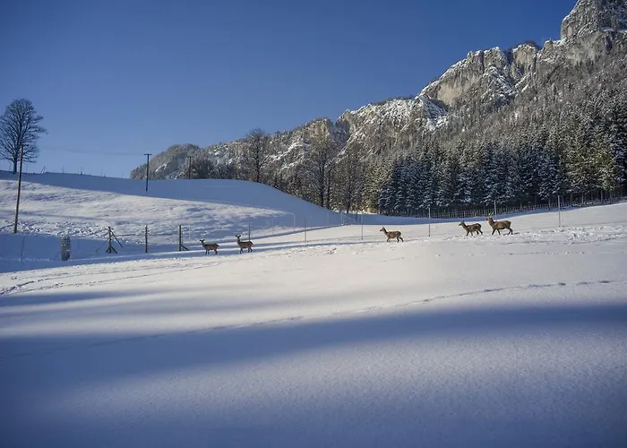 Berghof Haselsberger * Sankt Johann in Tirol
