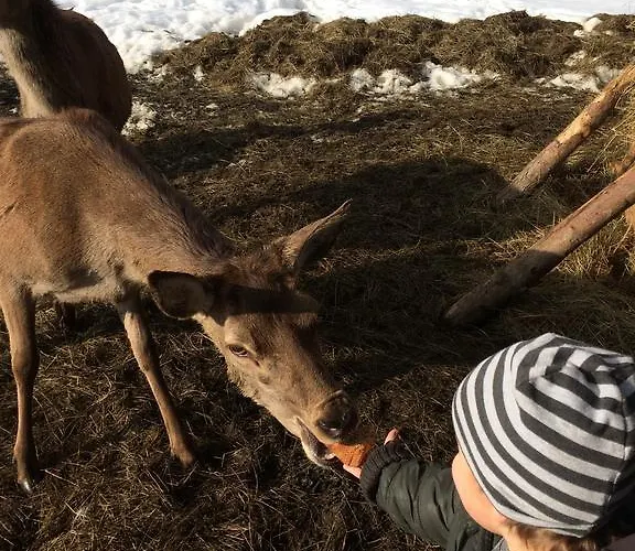 Berghof Haselsberger *