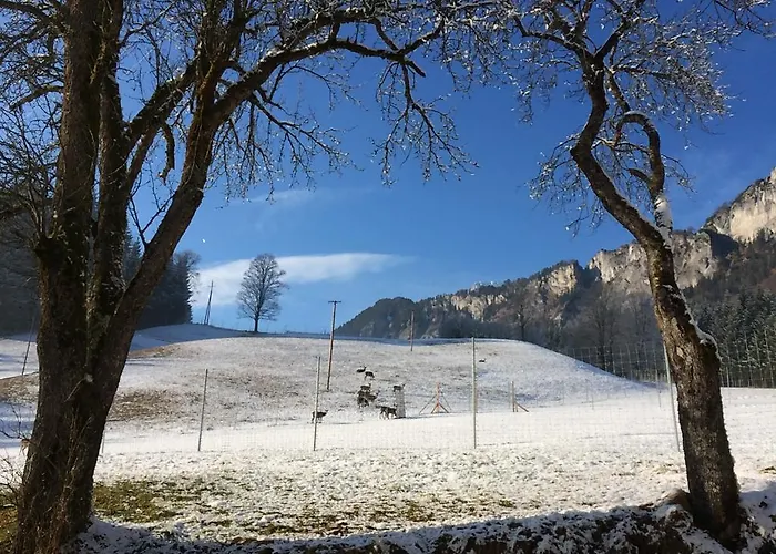 Apartamento Berghof Haselsberger