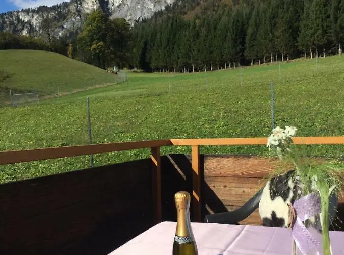 Apartamento Berghof Haselsberger Sankt Johann in Tirol