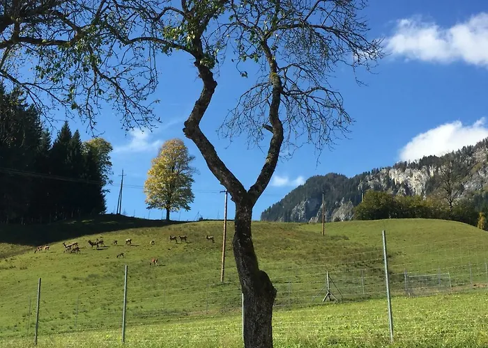 Apartamento Berghof Haselsberger