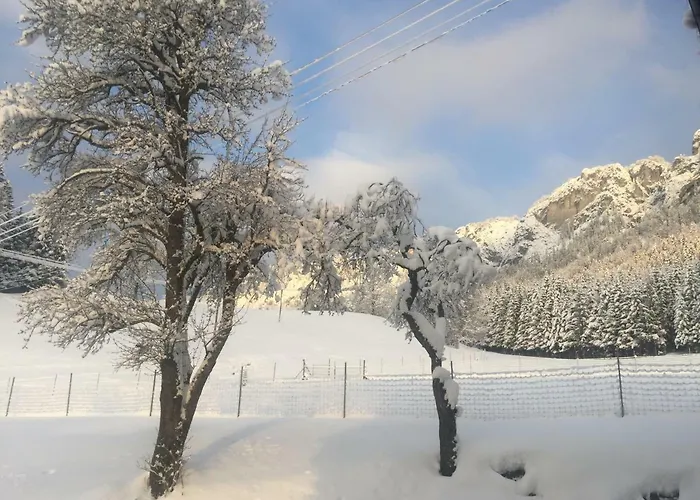 Berghof Haselsberger Apartamento *