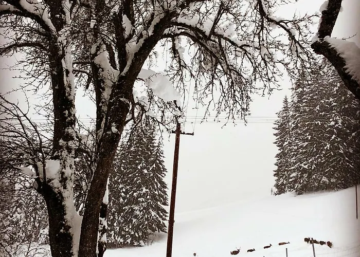 Berghof Haselsberger Sankt Johann in Tirol