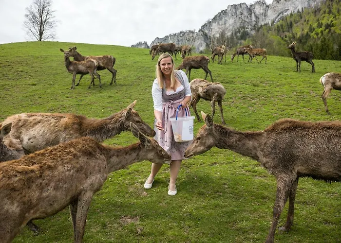 Berghof Haselsberger Apartamento *