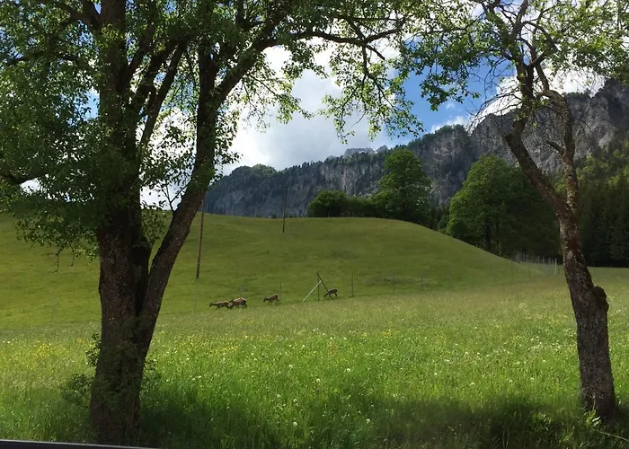 Apartamento Berghof Haselsberger Sankt Johann in Tirol