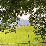 アパート Berghof Haselsberger