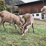 Berghof Haselsberger