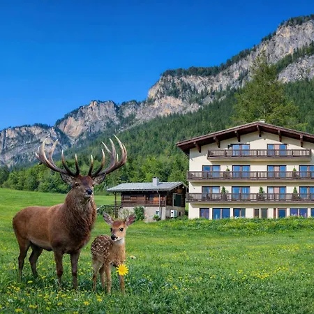 Berghof Haselsberger * St. Johann in Tirol