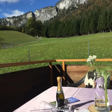 Appartement Berghof Haselsberger St. Johann in Tirol