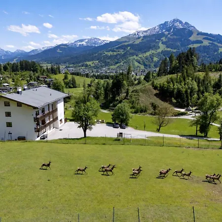 Berghof Haselsberger Appartement Sankt Johann in Tirol
