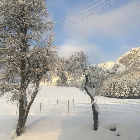 Berghof Haselsberger Daire *
